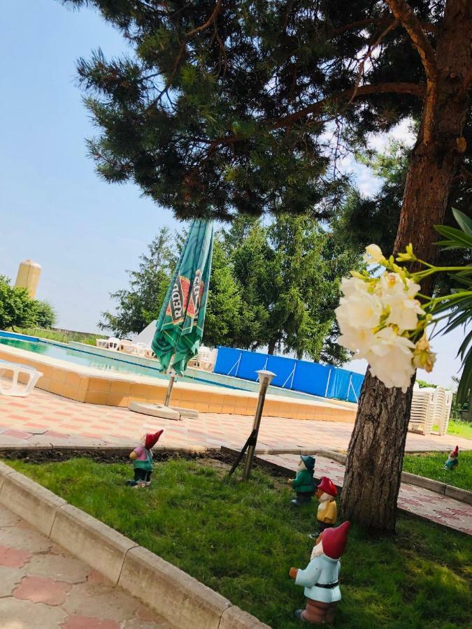 Pensiunea Paradis Vrancean Cotesti  Exteriér fotografie